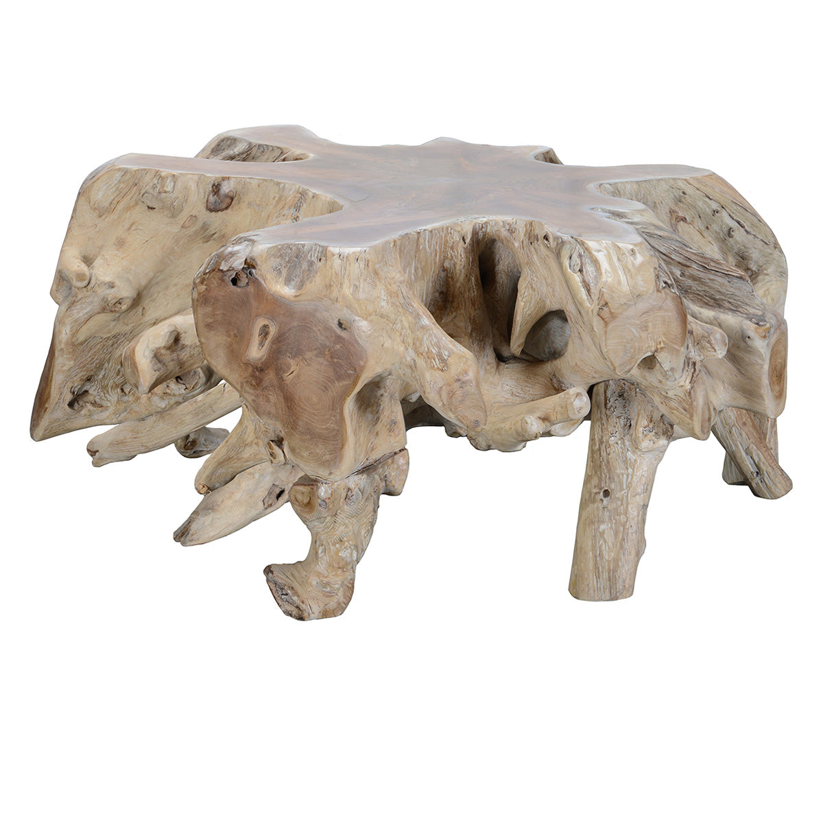 Cypress Root Coffee Table Natural White Wash | BeBoldFurniture