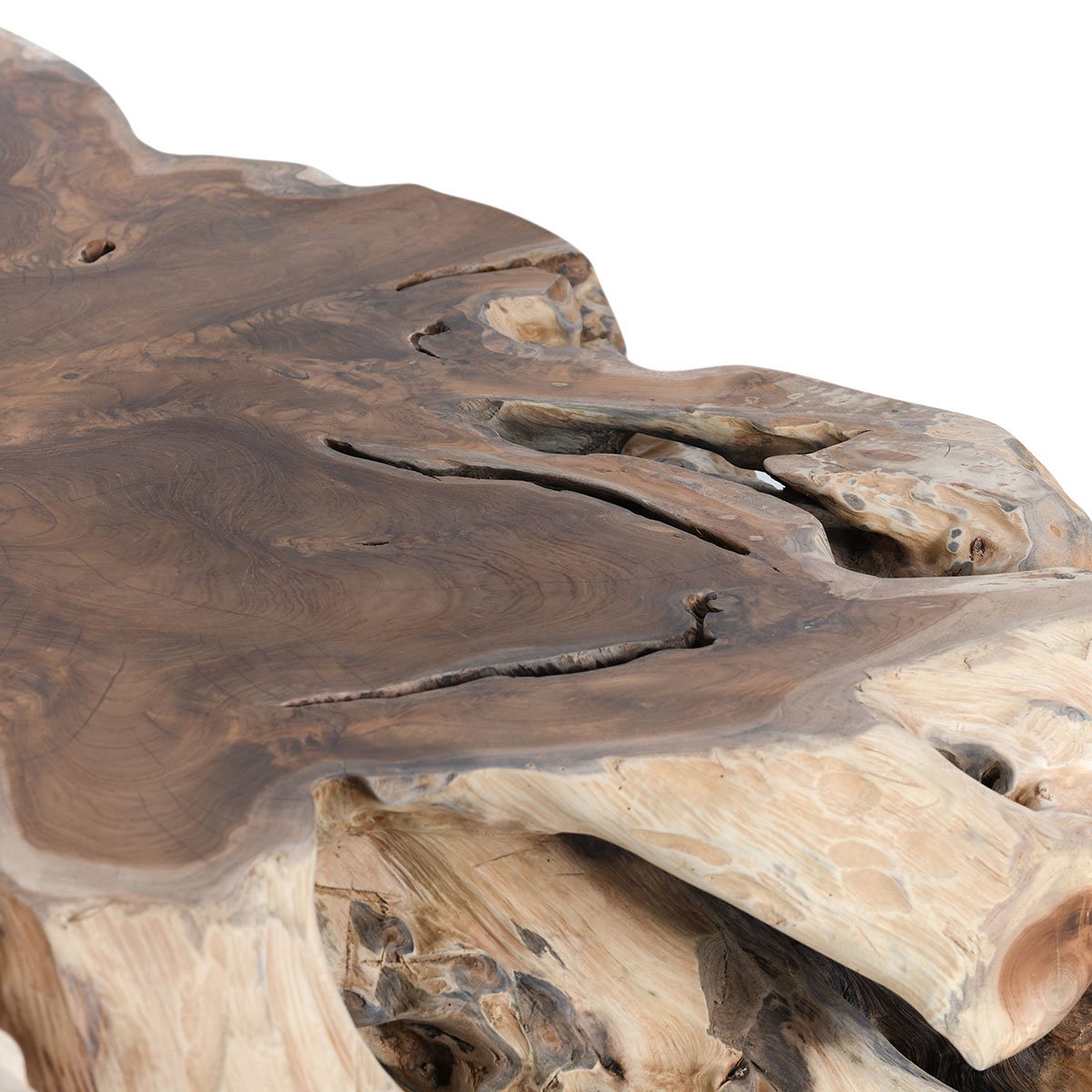 Cypress Root 40" Square Coffee Table Natural | BeBoldFurniture