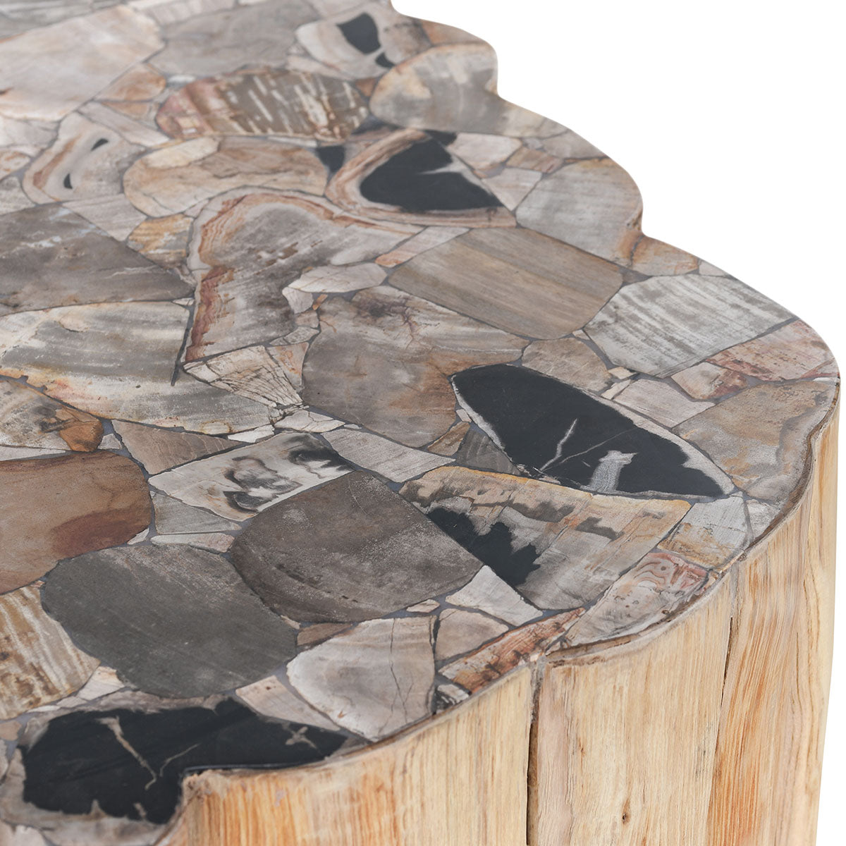 Norwest Petrified Wood Coffee Table Natural | BeBoldFurniture