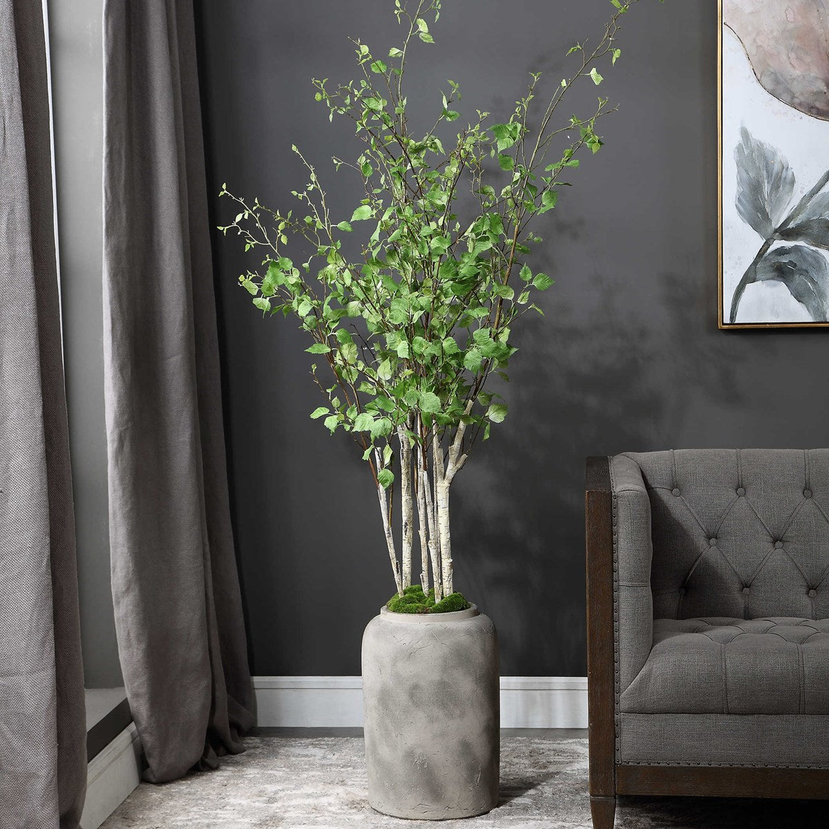 Aldis Potted River Birch | BeBoldFurniture