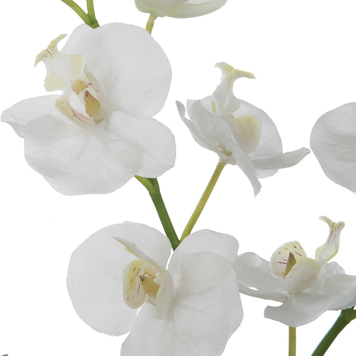 Glory Orchid White | BeBoldFurniture