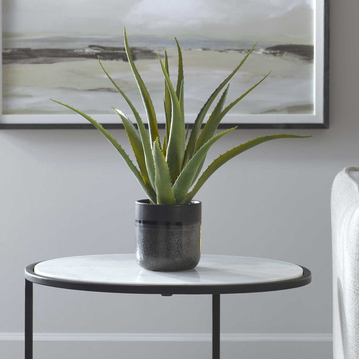 Tucson Aloe Planter | BeBoldFurniture