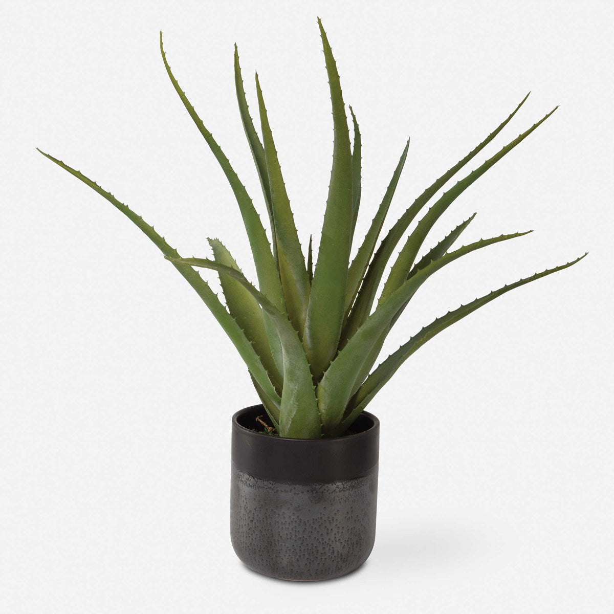 Tucson Aloe Planter | BeBoldFurniture