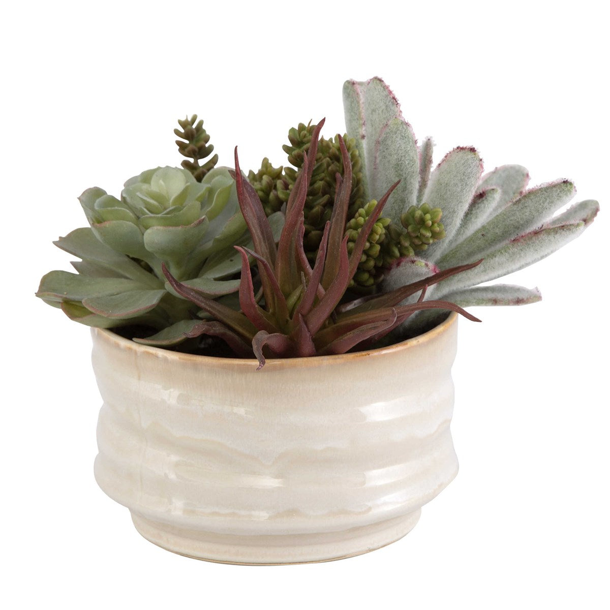 Mesa Succulent Accent | BeBoldFurniture