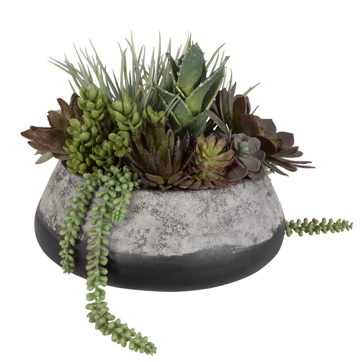 Gobi Succulent Centerpiece | BeBoldFurniture