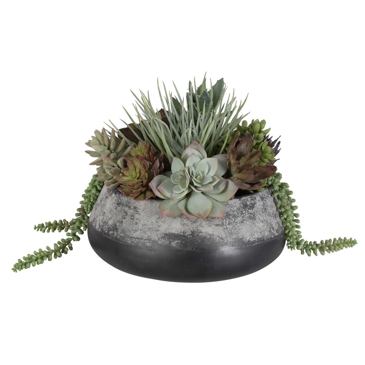 Gobi Succulent Centerpiece | BeBoldFurniture