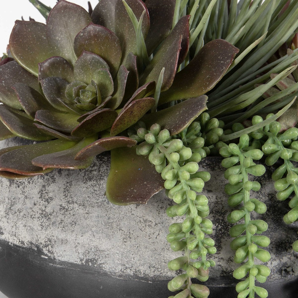 Gobi Succulent Centerpiece | BeBoldFurniture